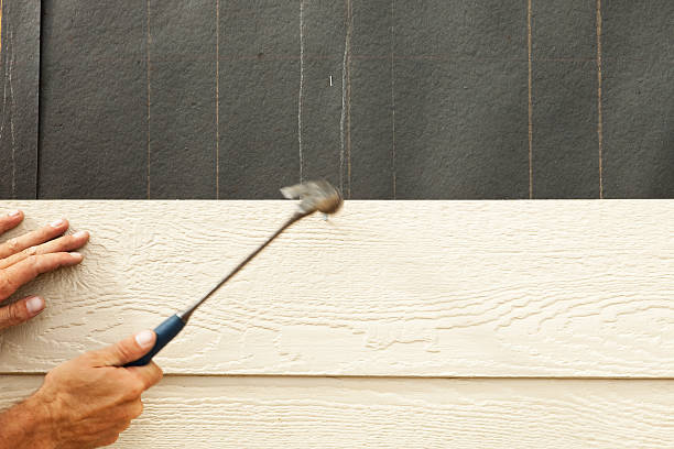 Best Siding Removal and Disposal  in Rising Sun Lebanon, DE